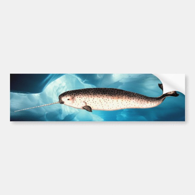 Narwhal Bumper Sticker (Front)