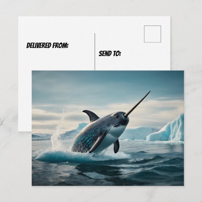 Narwhal jumping out of water postcard (Front/Back)