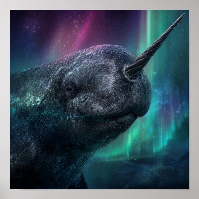 Narwhal Mystical Guardian - Aurora Arctic Night Poster (Front)
