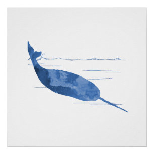 Narwhal Poster