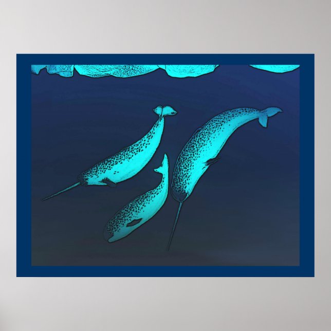Narwhal Poster (Front)
