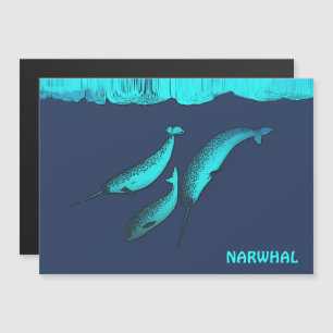 Narwhal Under The Ice