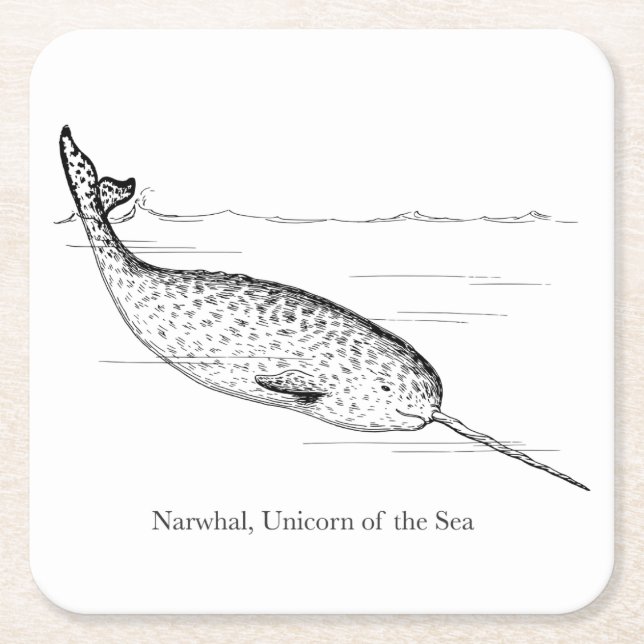 Narwhal Whale Unicorn of the Sea Square Paper Coaster (Front)