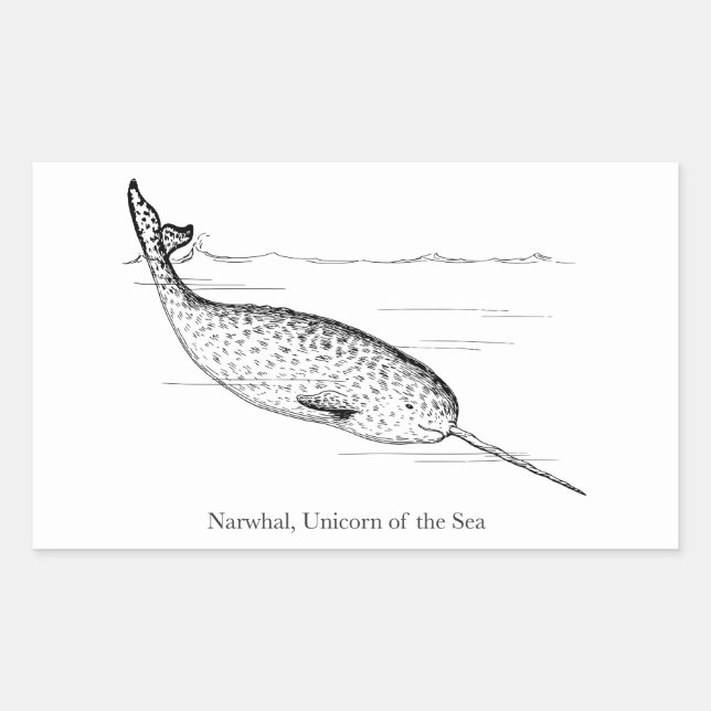 Narwhal Whale Unicorn of the Sea Sticker (Front)