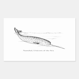 Narwhal Whale Unicorn of the Sea Sticker