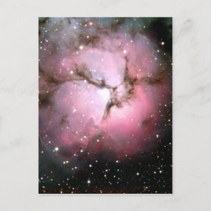 NASA Dusty Pink stars SSC2005 Postcard