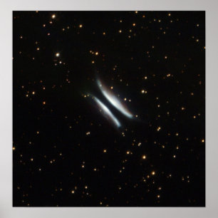 NASA - Gomez's Hamburger Poster