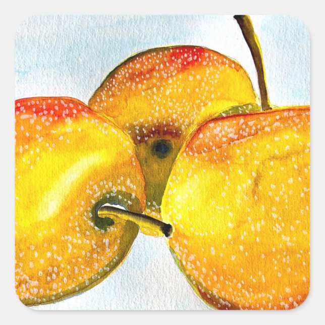 Nashi pears yellow watercolor fruit square sticker (Front)