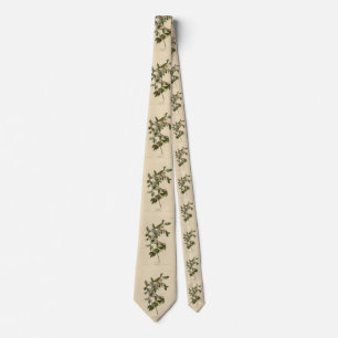 Nashville Warbler from Audubon's Birds of America Tie