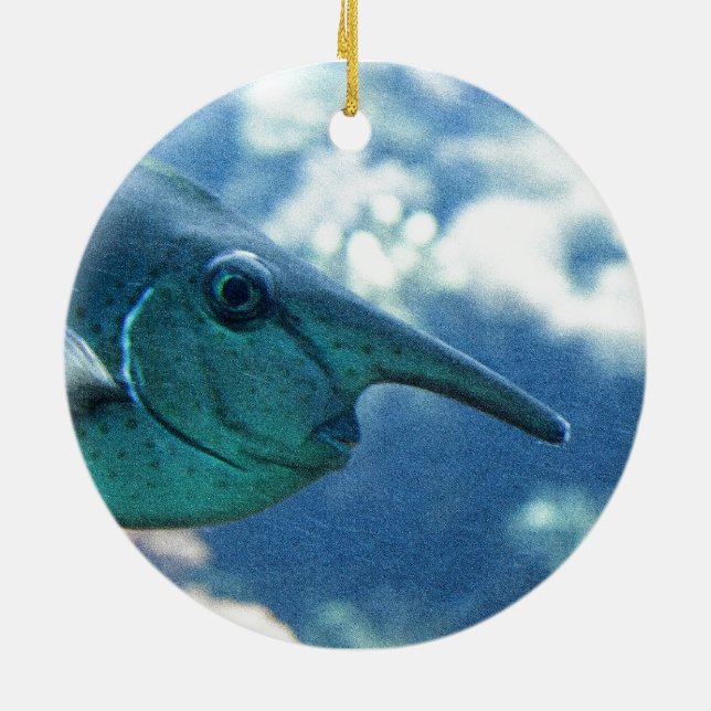Naso brevirostris ceramic ornament (Back)