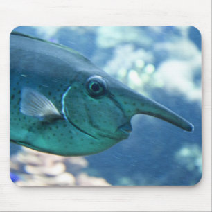 Naso brevirostris mouse pad