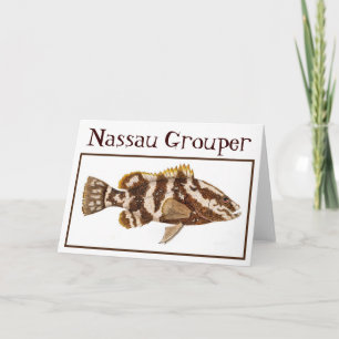 Nassau Grouper Card
