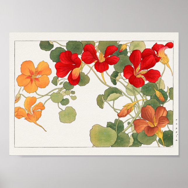 Nasturtium by Tanigami Konan Poster (Front)