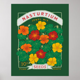 Nasturtium Flower Seed Packet (Green) Poster