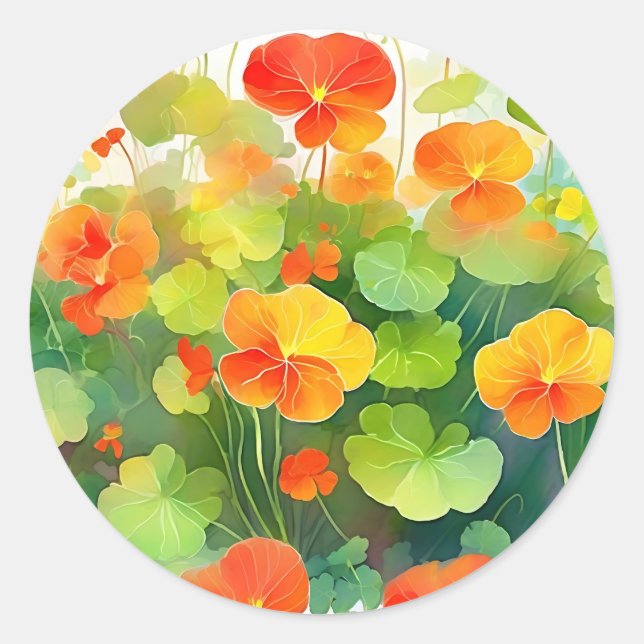 Nasturtium Flowers Vibrant Classic Round Sticker (Front)