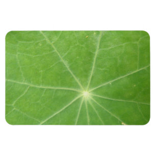 Nasturtium Leaf Premium Magnet