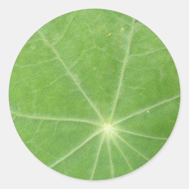 Nasturtium Leaf Stickers (Front)