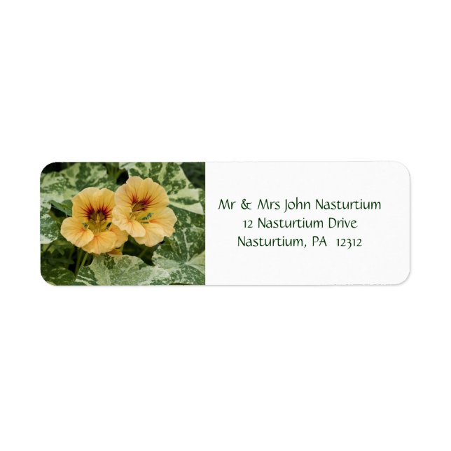 Nasturtium Return Address Label (Front)