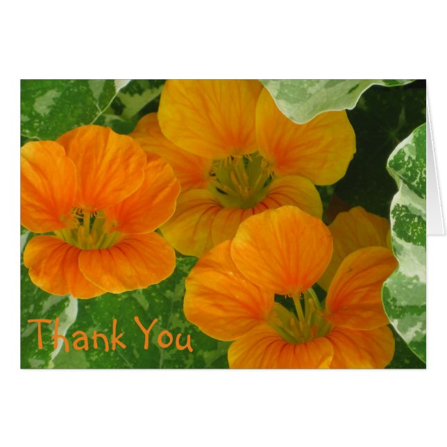 Nasturtium Thank You Card (Front Horizontal)