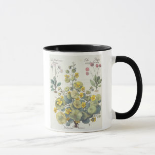 Nasturtiums and Daisies: 1.Nasturtium Indicum; 2.B Mug