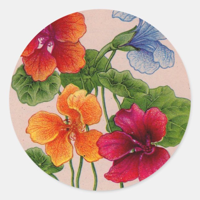 nasturtiums classic round sticker (Front)