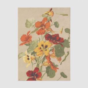 Nasturtiums,Crimson & Gold in Bloom Vintage Floral Tissue Paper