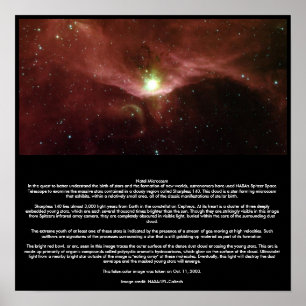 Natal Microcosm Poster