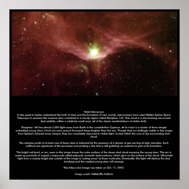 Natal Microcosm Poster (Front)