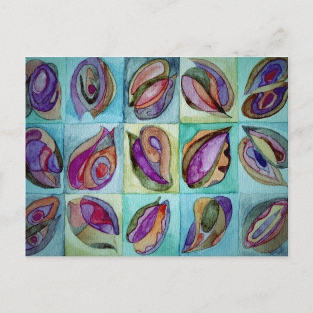 natal shells 3 postcard (Front)