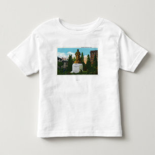 Nathaniel Hawthorne Statue View Toddler T-shirt