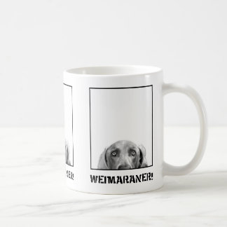 Nation de Weimaraner : Weimaraner dans une tasse