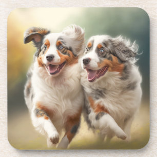 National Australian Shepherd Day, Aussie Dog Coaster