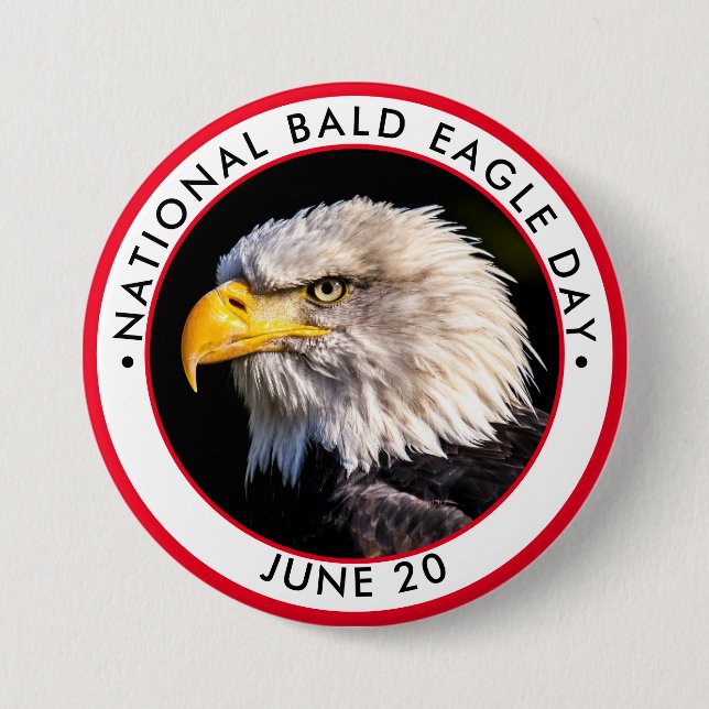 National Bald Eagle Day 3 Inch Round Button (Front)
