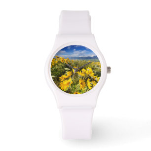 National Bison Range Watch