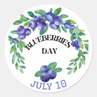 National Blueberries Day July Classic Round Sticker