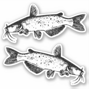 National Catfish Month