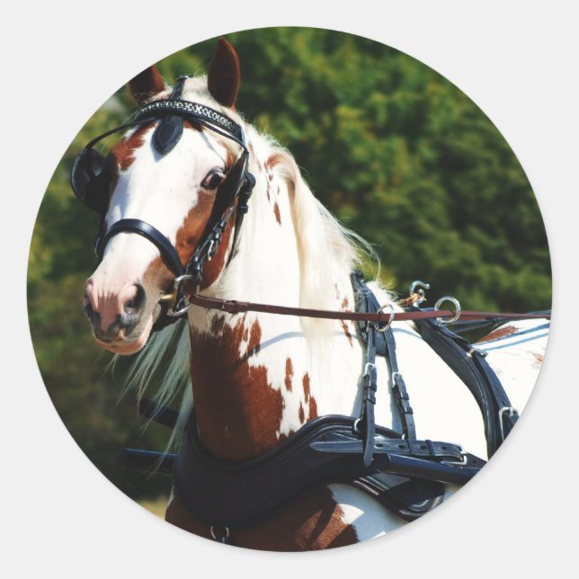 national drive classic round sticker (Front)