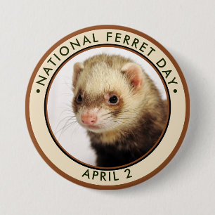 National Ferret Day 3 Inch Round Button