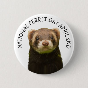National Ferret Day April 2nd Holiday Button