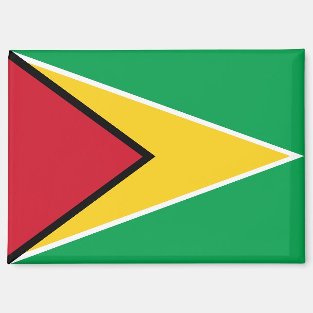 National Flag of Guyana Rectangle magnet  (Front)