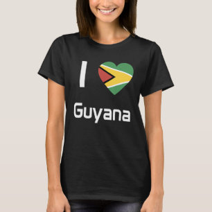 National Flag of Guyana souvenir  for men women 2 T-Shirt