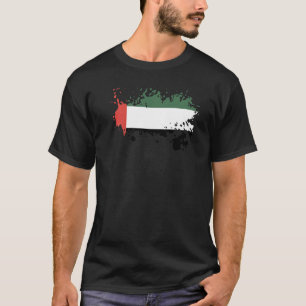National Flag of UAE souvenir for men women 4 T-Shirt