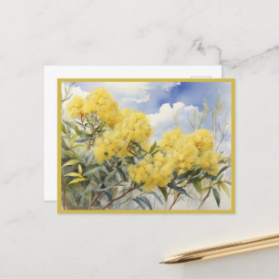 National Flower Australia Golden Wattle   Postcard
