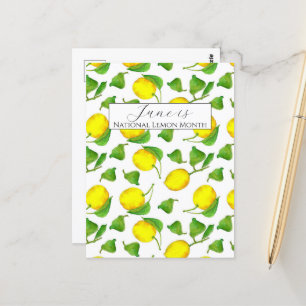 National Lemon Month June Citrus Fruit Postcard