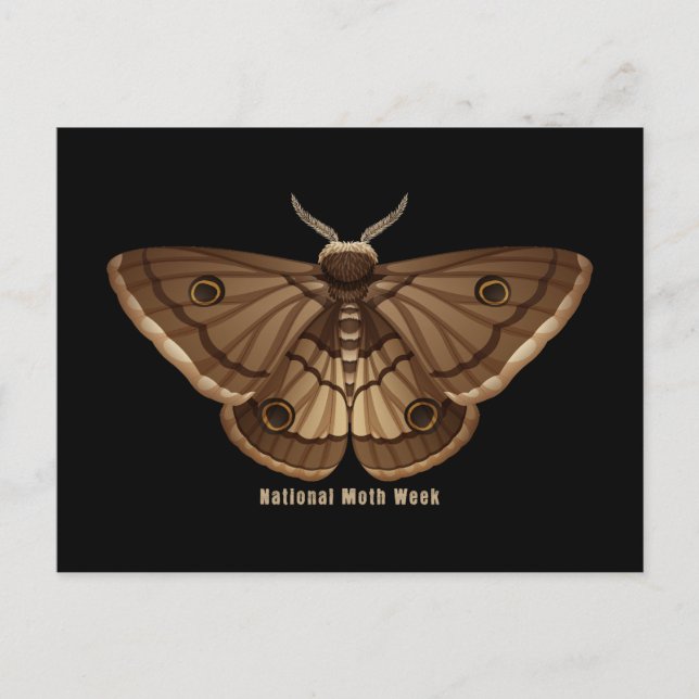 National Moth Week Postcard (Front)