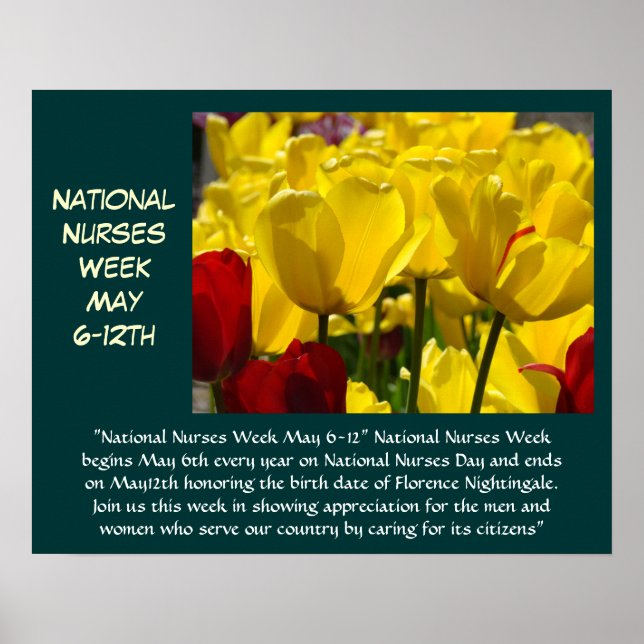 National Nurses Week Celebration posters prints (Front)