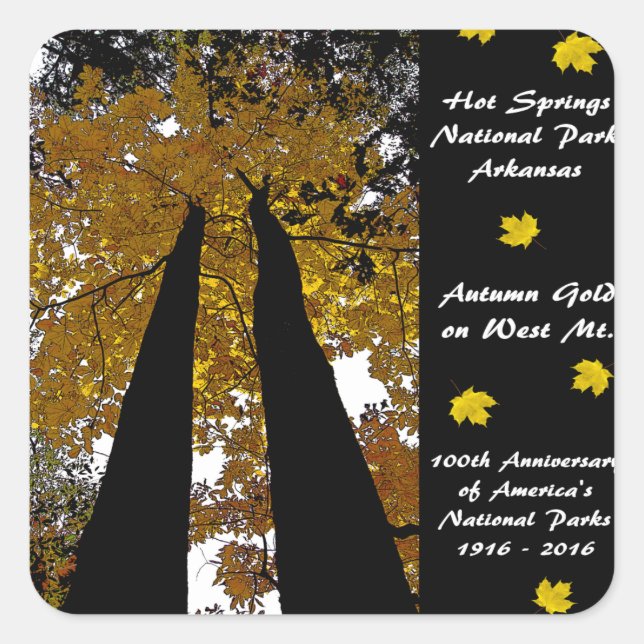 National Park Centennial Hot Springs Autumn Gold Square Sticker (Front)
