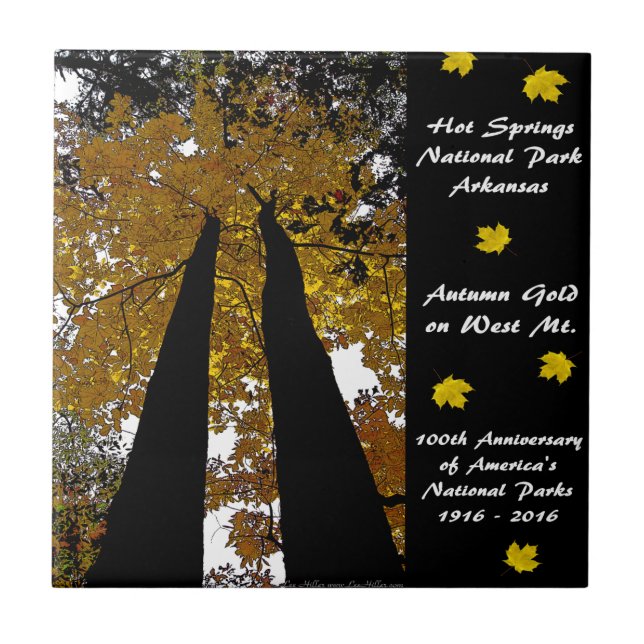 National Park Centennial Hot Springs Autumn Gold Tile (Front)