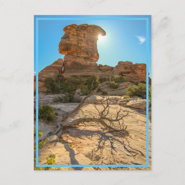 National Park Day! Postcard (Front)