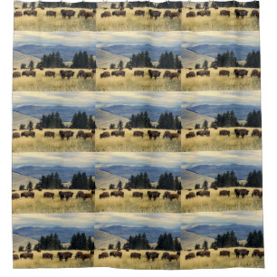 National Parks Bison Herd